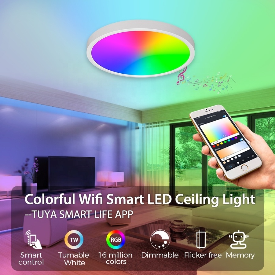 24W Home Decoration Wifi Tuya APP Control Round Shape Smart Led Ceiling Light For Living Room