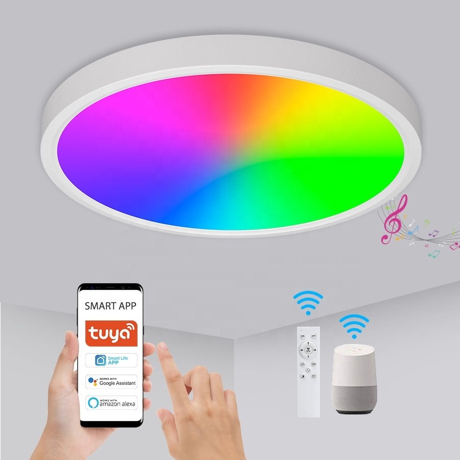 24W Home Decoration Wifi Tuya APP Control Round Shape Smart Led Ceiling Light For Living Room