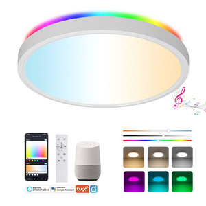 CGT 24w Super Slim Panel Wifi Tuya RC Control RGB Color changing Round Led Ceiling Lights