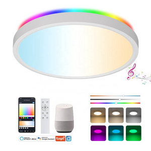 Indoor Home Light 24W Ceiling Light Smart WIFI Tuya  Voice Control RGB Color Decoration 300mm LED Flush Mount