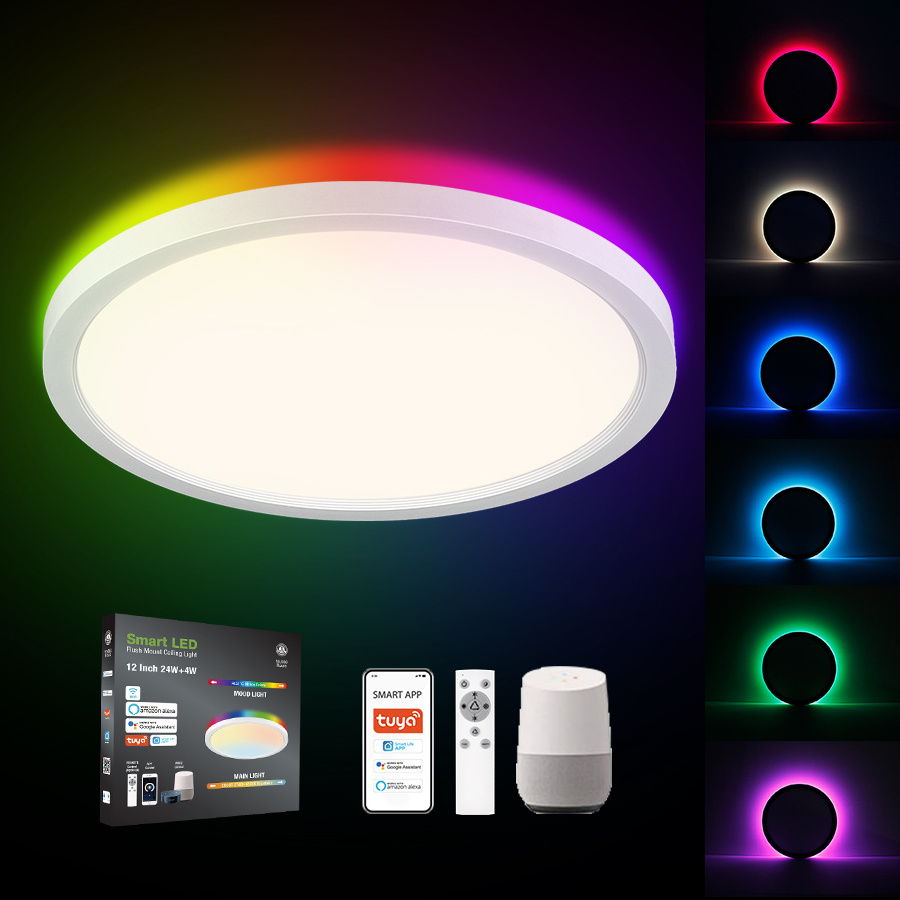 Round 24W 36W Surface MountI LED Music Ceiling Light with Speaker Smart APP Control RGBW