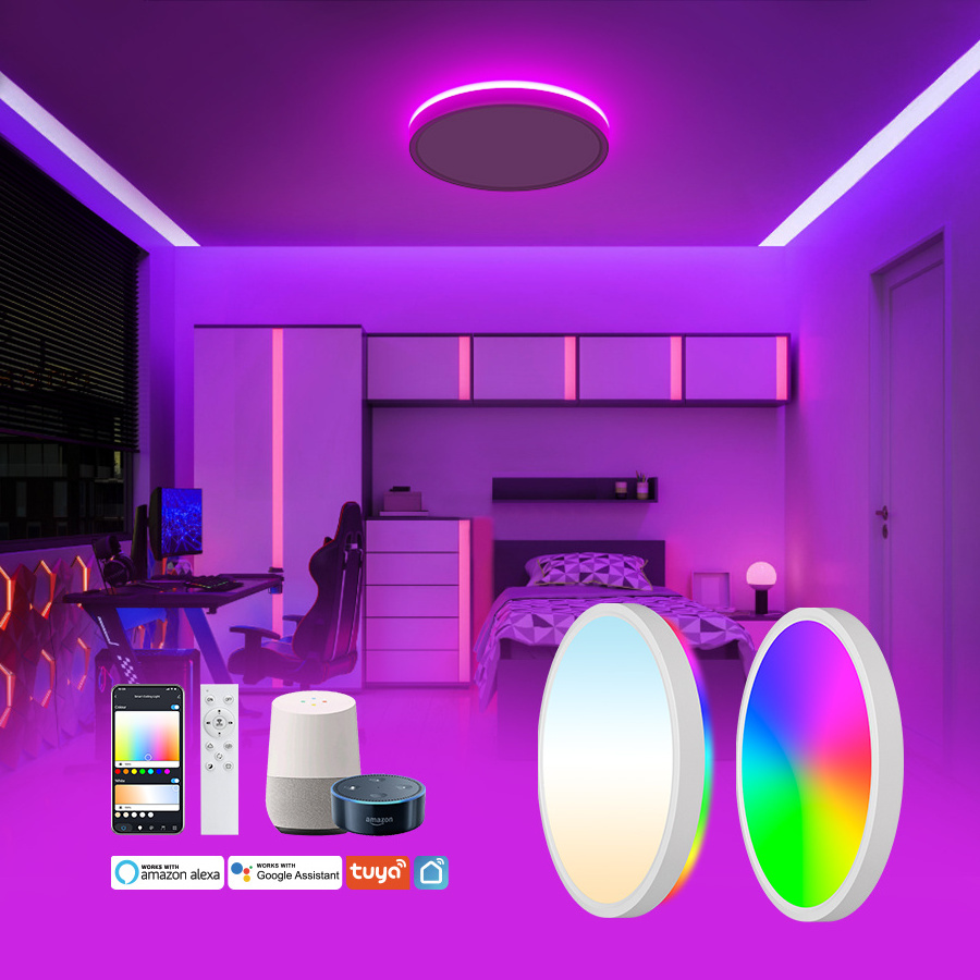 Modern Design round WiFi Ceiling Lights Tuya RC Controlled 2700-6500K RGB Color LED Surface Mounted Light