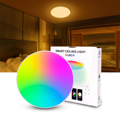 Smart Control Flush Mount Home Decorative Tuya App RGB LED Ceiling Panel Light