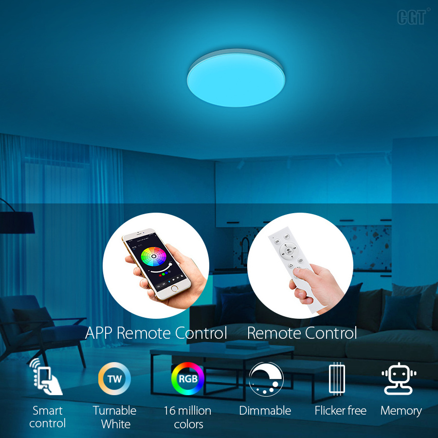 12inch 20W Smart Tuya App Control RGBCW Color Changing Flush mount LED Ceiling Light