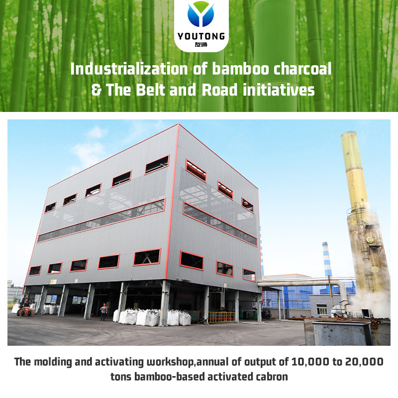 China Novel  Environmental Product  Bamboo Activated Charcoal widely  used in water  gas treatment