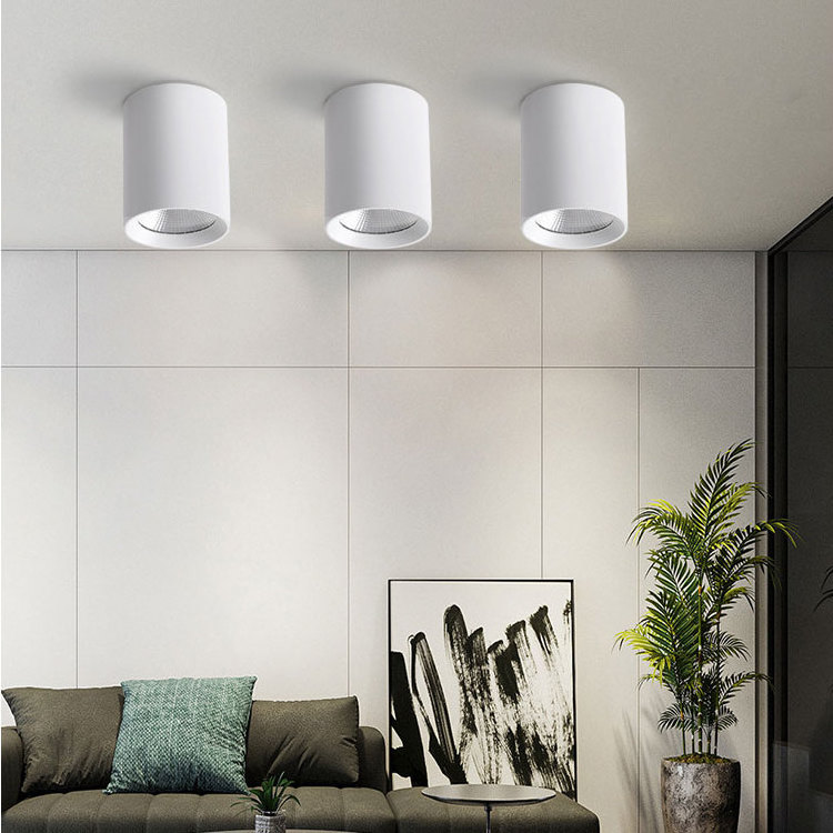 Black White Round Ceiling light Surface Mounted Cylinder LED Downlight  Suspended Dimmable COB Down Light