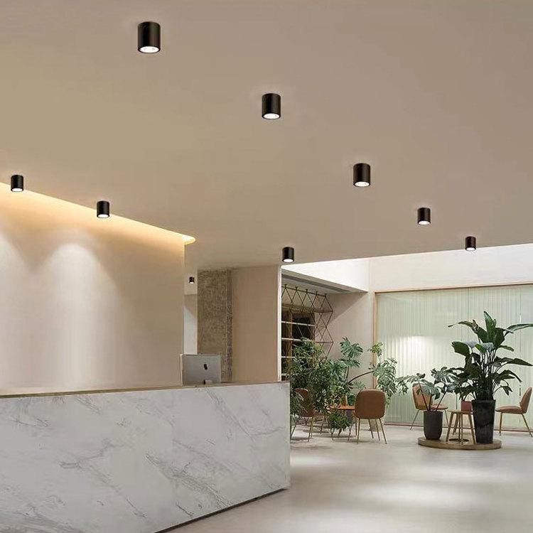 Hotel shop project dimmable anti glare spot down lights ceiling COB surface mounted led downlight