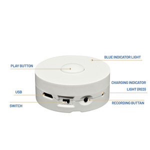 Custom Recording Voice Box Programmable USB Rechargeable Sound Module Mini Recorder Sound module Box For Plush Toys