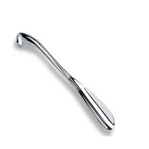 Silver Metal Brass Shoe Horn