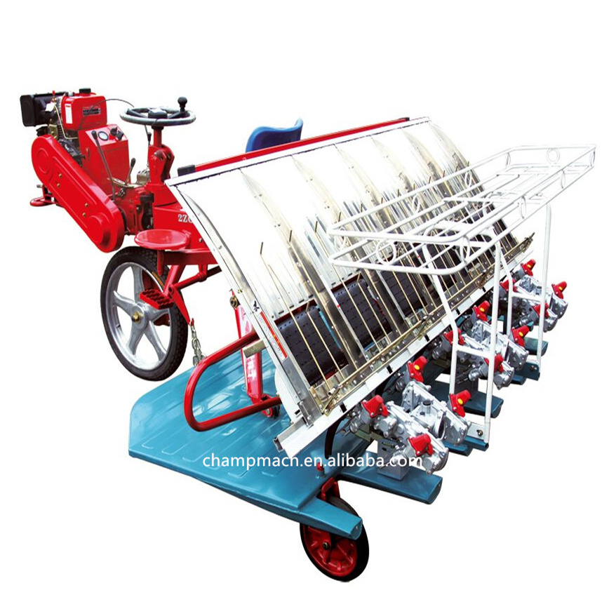 8 rows automatic rice transplanter planting machine in pakistan