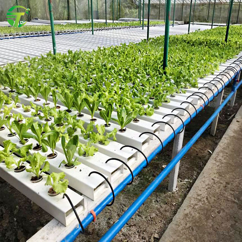 Commercial 100*50 NFT supplies hydroponic systems