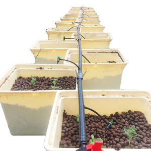 Hydroponics Dutch Bucket Growing System  plant tomato Holland bucket plastic buckets suitable for drip irrigation systems