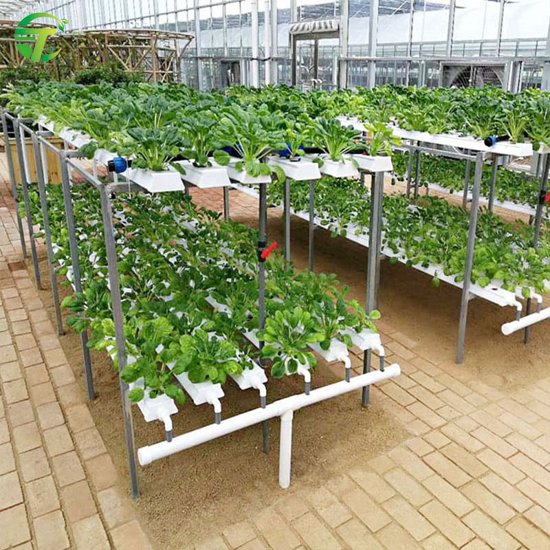 Commercial 100*50 NFT supplies hydroponic systems