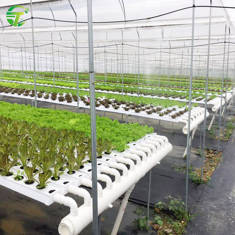 Commercial 100*50 NFT supplies hydroponic systems