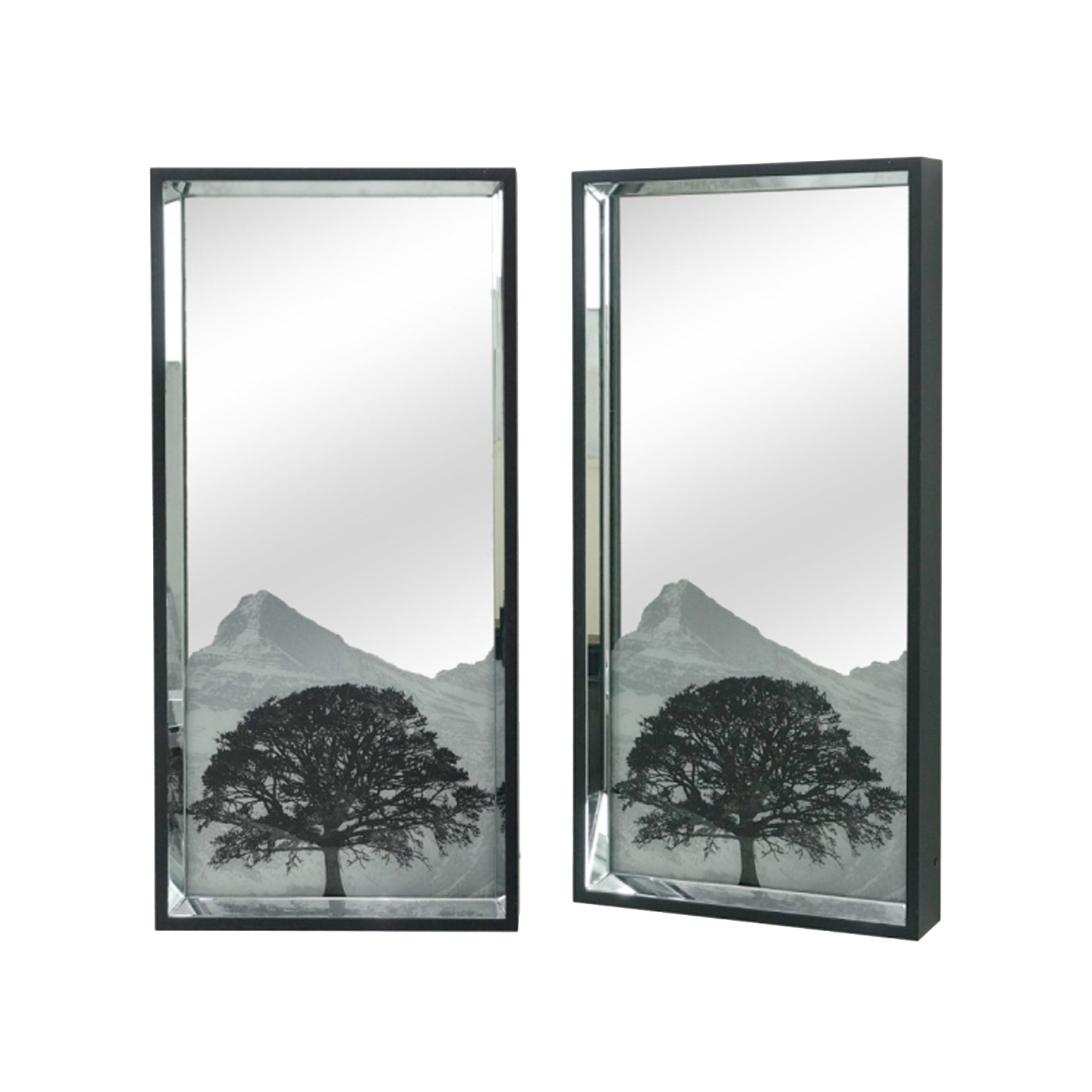 Printing Wall Mirrored Long Frame with Dotted Border Made for Living Room Bedroom Bathroom Entryway Hangs Vertical Glass Float