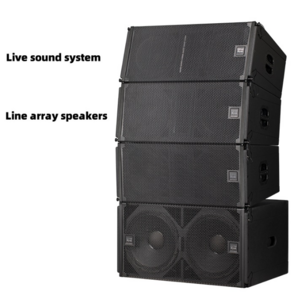 Stage sound equipment Double 12-inch linear array speaker outdoor performance professional sound reinforcement system