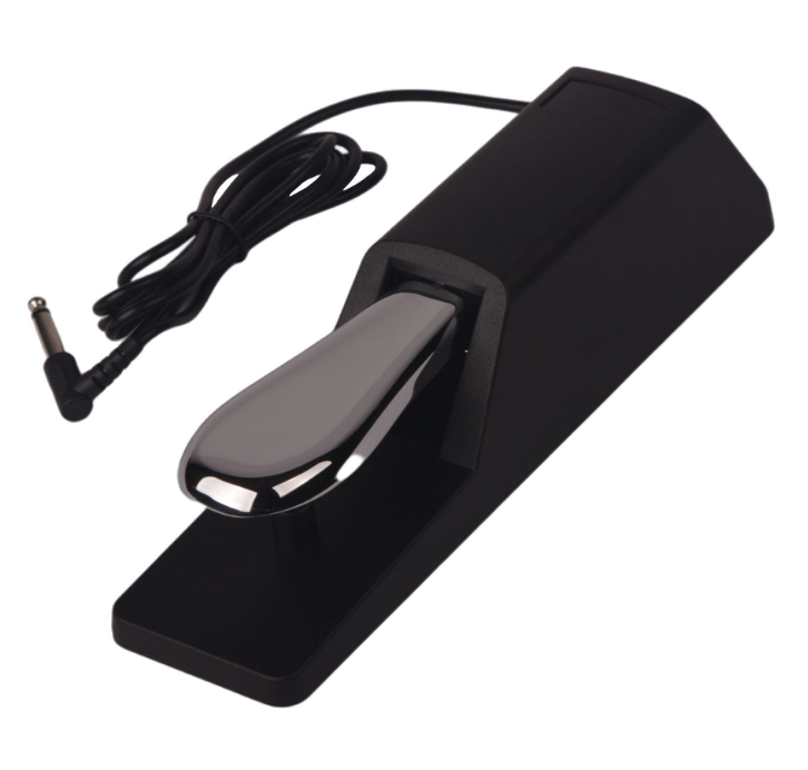 Universal Digital Piano Sustain Pedal for Keyboard Electronic Synthesizer Foot Pedal Non Slip