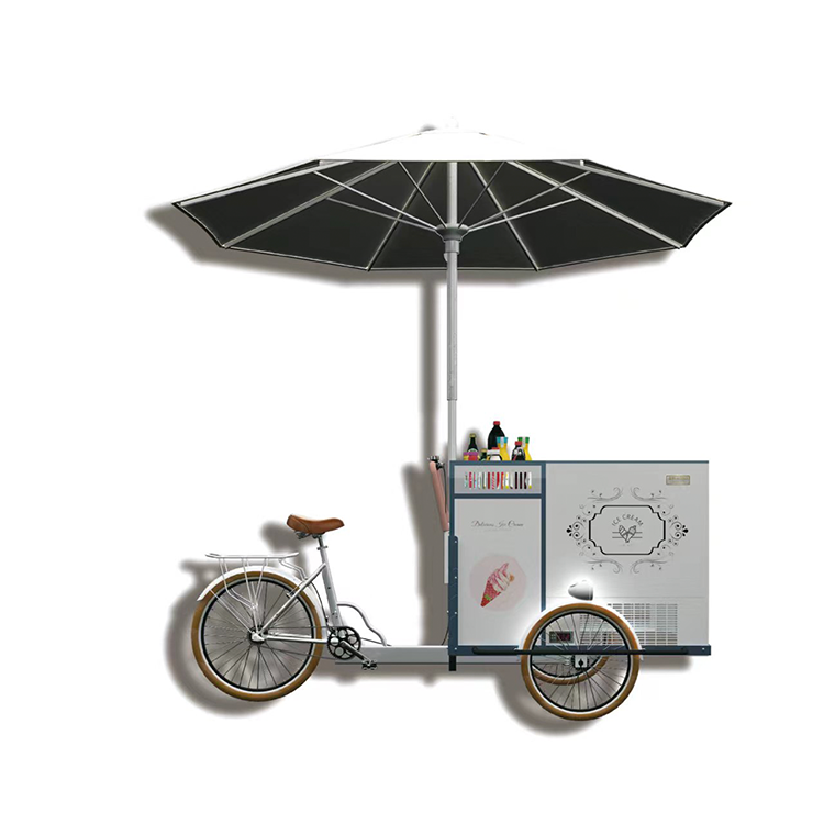 Mexican Electric Cold Plate Mobile Rolled Bike Ice Cream Push Cart With Freezer For Sale