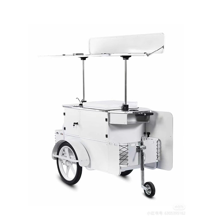 Mobile Italian Ice Cream Hand Push Cart Bike With Display Freezer Gelato Stand Cart With Wheels