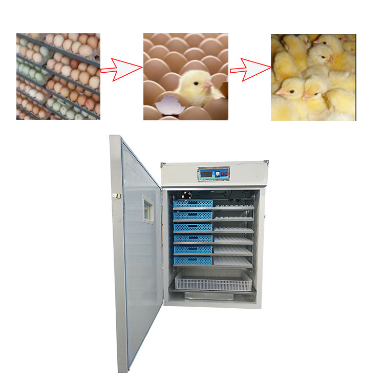 Wholesale price automatic egg incubator of goose eggs