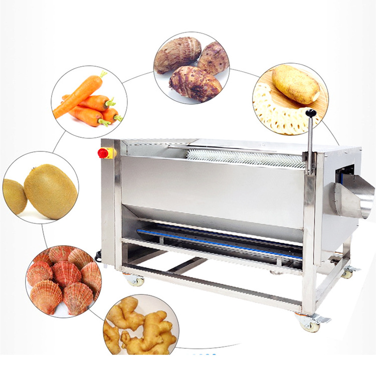 Stainless Steel Vegetable Potato Taro Pumpkin Fish Cleaning Avocado Sea Cucumber Cleaning Machine For Sale