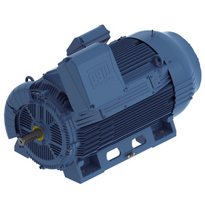 Weg Explosion-proof machine motor Series High three phase 20 hp asynchronous ac motor with haetroof