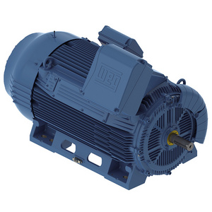 High Efficiency WEG Explosion-proof machine motor 10 HP 6 Pole foot Mounting 415V 50HZ IP55 Ac Motor