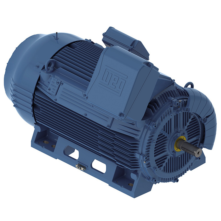 Weg Explosion-proof machine motor Series High three phase 20 hp asynchronous ac motor with haetroof