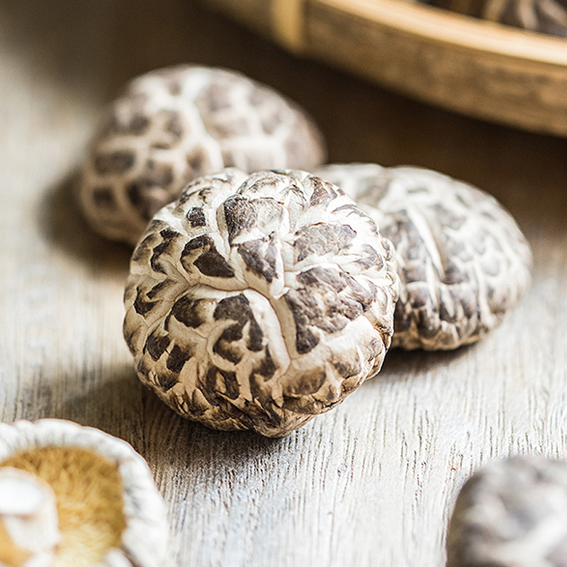 Hot Sale Log White Flower Mushroom  Dry Shiitake  hot Sale Dried Mushroom