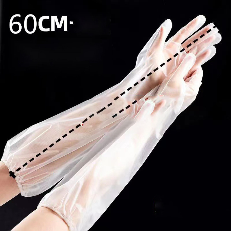 DS2735 Restaurant Kitchen BBQ Eco-Friendly Food Gloves Safety Poly Vet Long Sleeve Disposable Long Arm Gloves Disposable Gloves