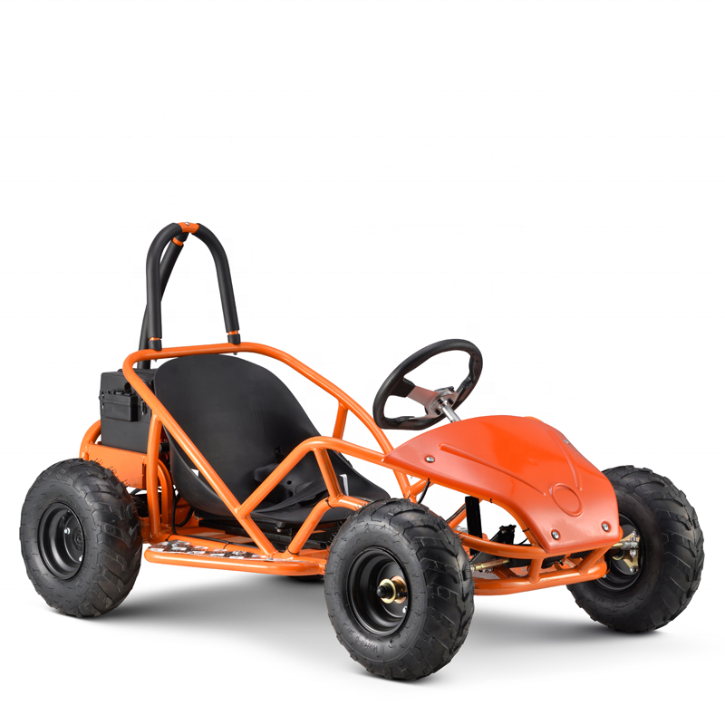 2020 hot sale 48V20ah 800W go kart electric kids quad motorcycle grassland children's play kart kids electric go kart