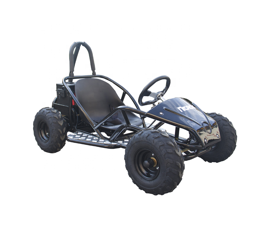 1000W48V electric go kart 4x4 kid electric kart