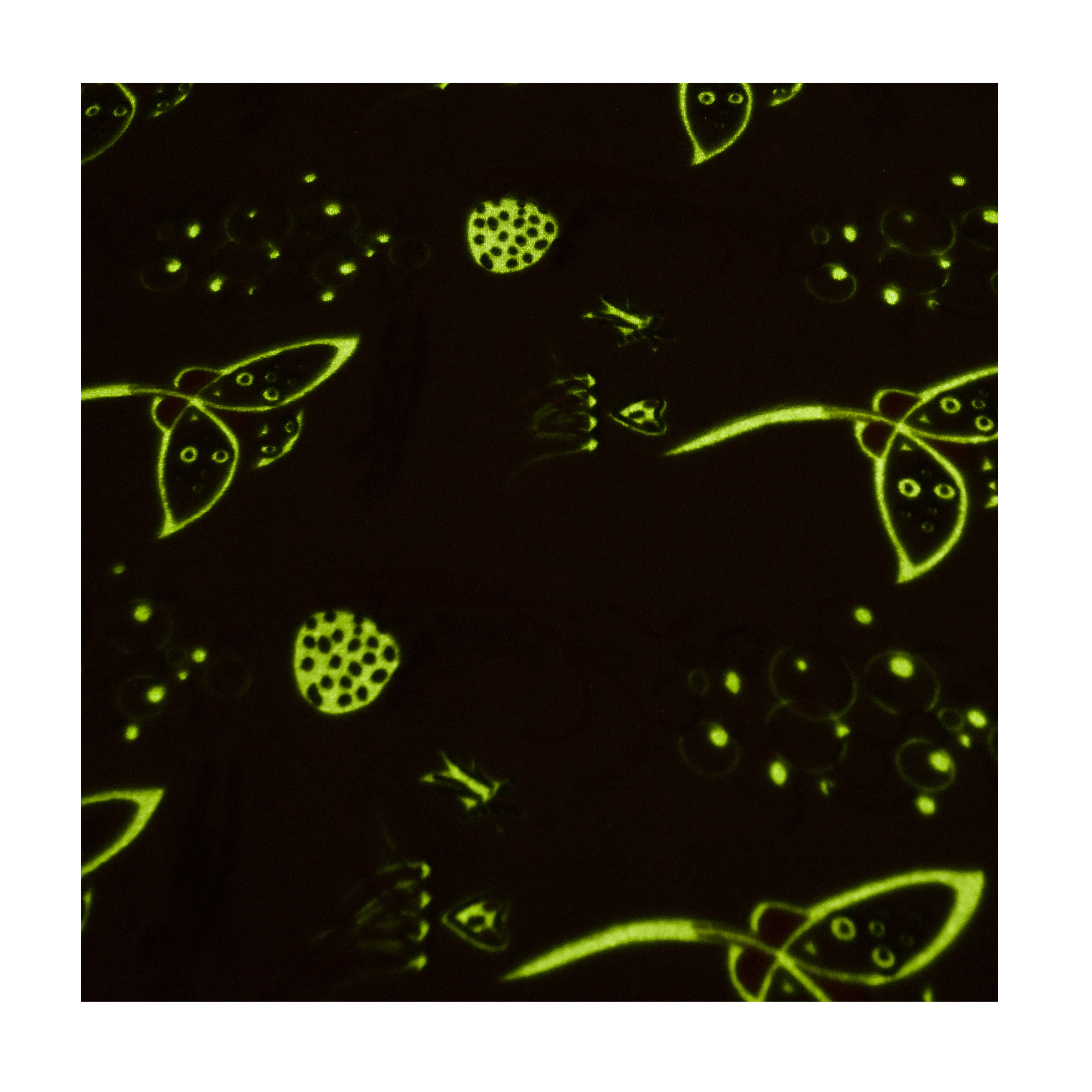 glow in the dark flannel fleece fabric for blanket throw