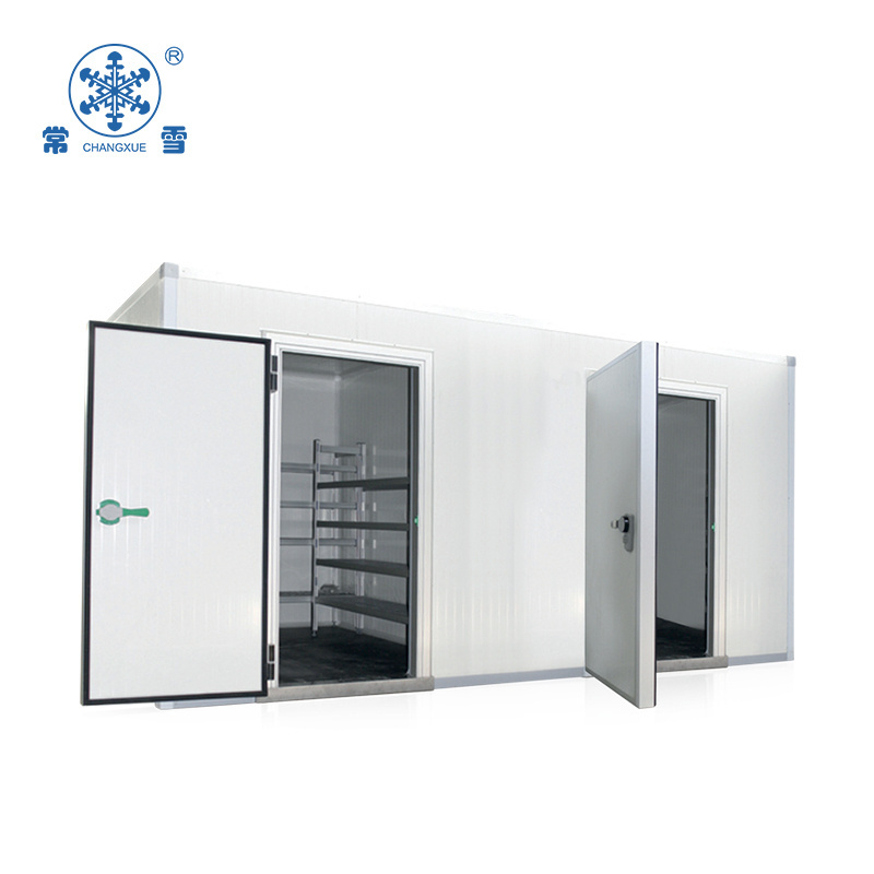 Cold room freezer door pu insulated panel for cold room