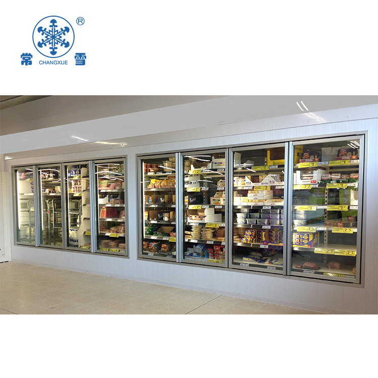 Changxue Walk-in Freezer Cold Room with Glass Door