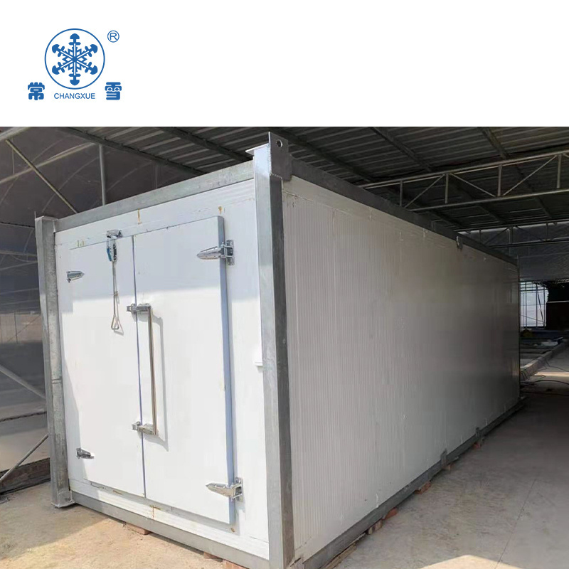 New design movable cold room freezer with hinged door container walk in freezer