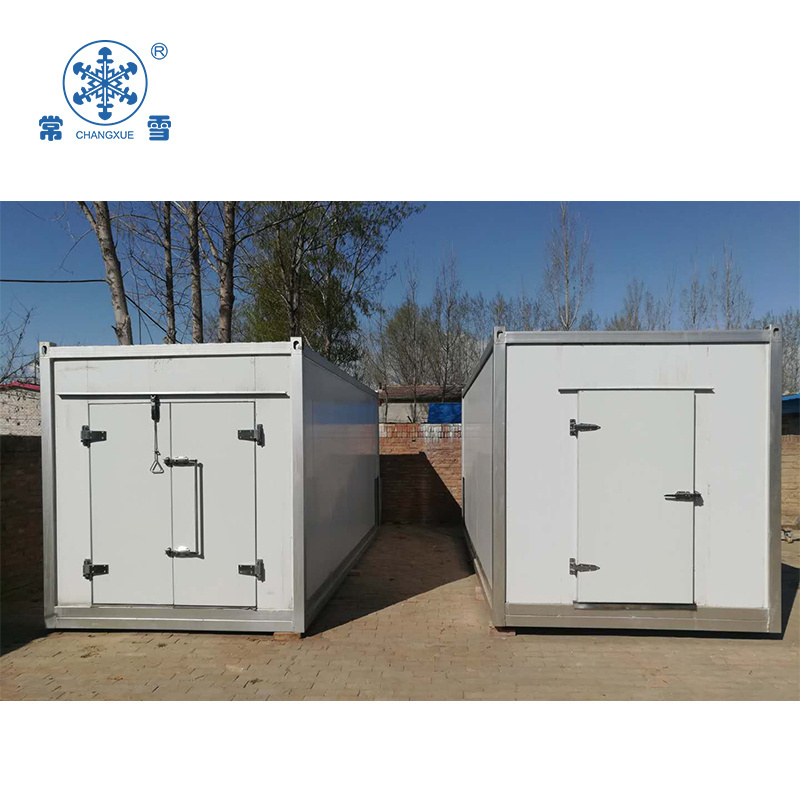 Container refrigerated warehouse cold room Room Manufacturer Small Monolithic Freezer Cold Room For Sale