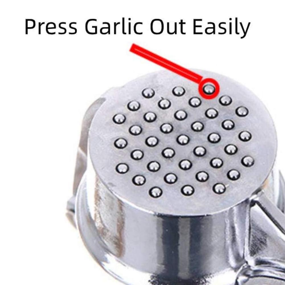 Hot Selling Garlic Press Grater Stainless Steel Garlic Tools WIth Handle