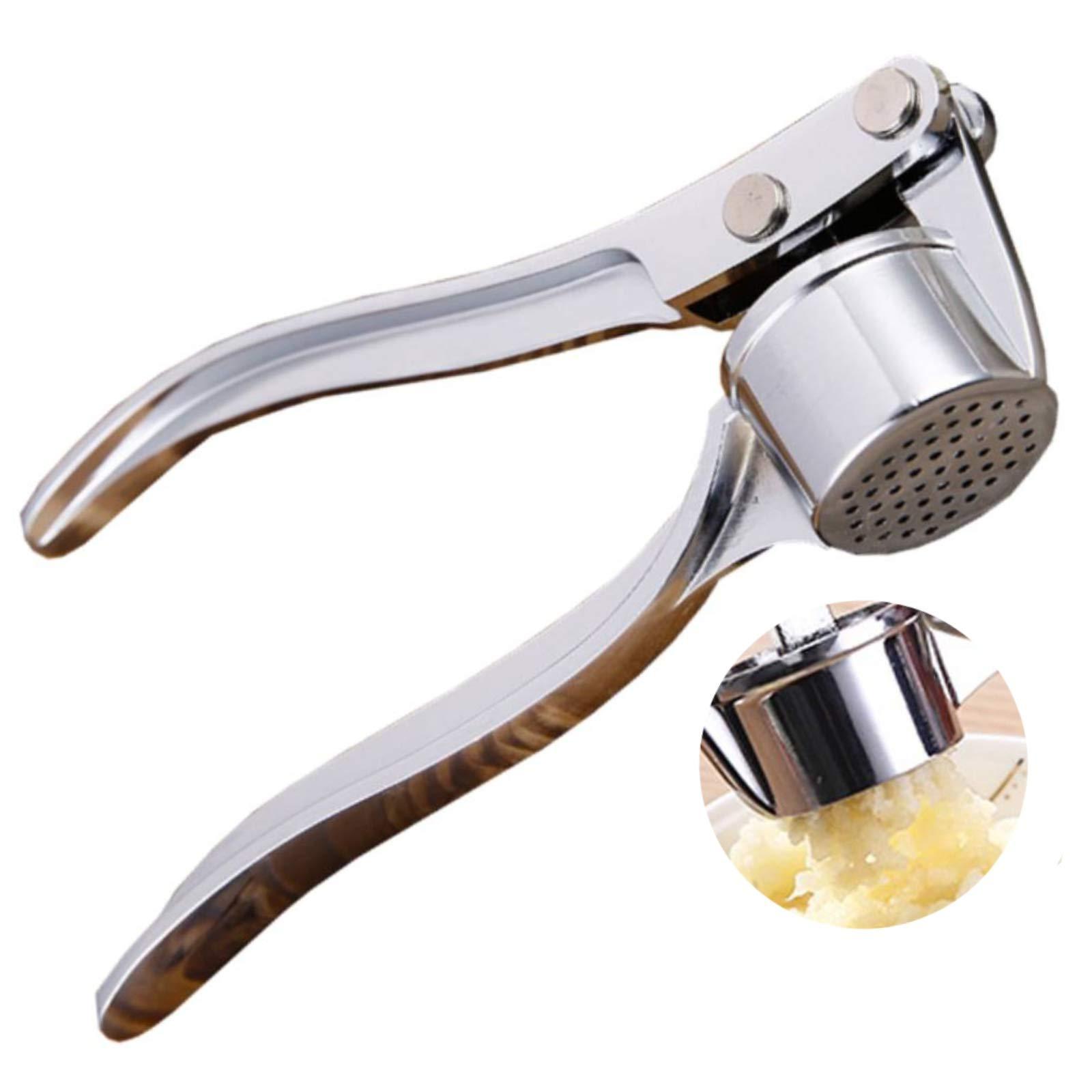 Hot Selling Garlic Press Grater Stainless Steel Garlic Tools WIth Handle