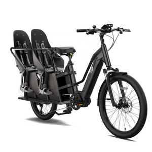 Long tail cargo electric bike with mid motor