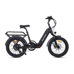 New Style Electric Bike 48v 750w Rear Motor Ebike 2 Wheel 20 Inch Fat Tire Electric Bicycle foldable for beach