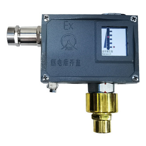 502/7D Pressure Switch   Explosion-proof Pressure Switch  for gas water and oil