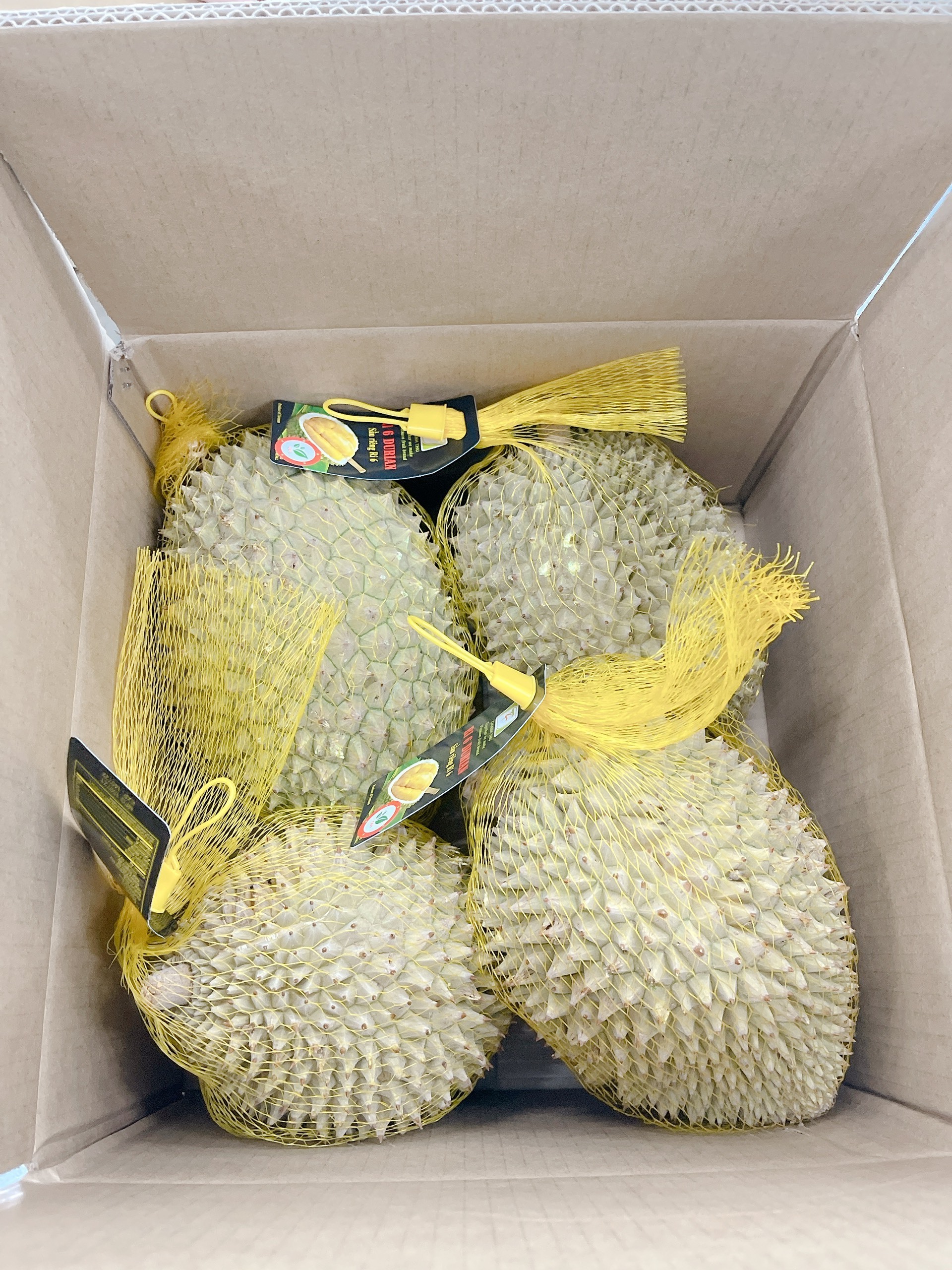 500 - 1000 tons/ month  24 months Shell Life Sweet Taste Year Round Season Frozen Durian Export From Vietnam