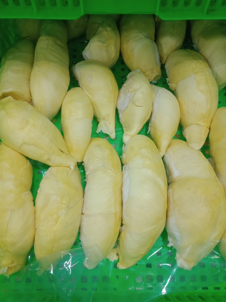 500 - 1000 tons/ month  24 months Shell Life Sweet Taste Year Round Season Frozen Durian Export From Vietnam