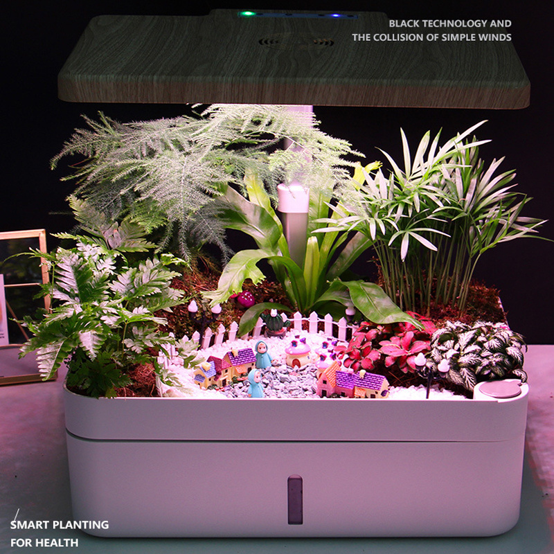 2023 Indoor Garden Hydroponic System with LED Grow Light and Herb Kit, Holds Up to 12 Pods Ideal Gardening Gifts for Women