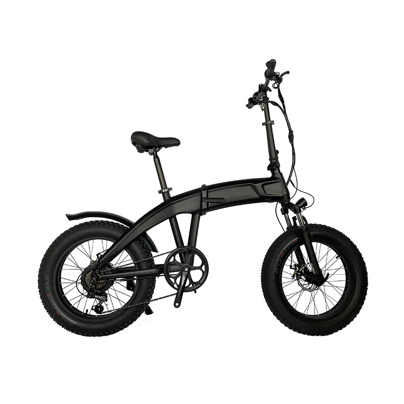 Custom Ebike 500w EBIKE Urban Commuting Electric Bikes for Adults 20 Inch Snow Tire Lithium Battery 48V Rear Hub Motor 7 Speed