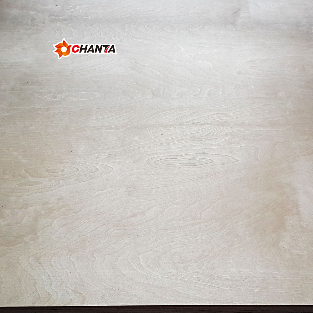 low price 5mm 12mm prefinish waterproof russian birch wood plywood for vietnam malaysian