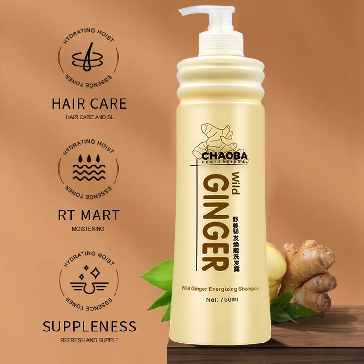 Chaoba Ginger Shampoo Remove Dandruff Prevent Hair Loss Herbal Oil Control Best Shampoo For Oily Hair