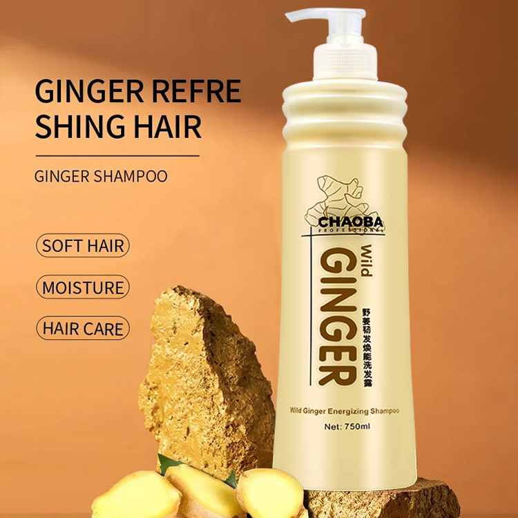 Chaoba Ginger Shampoo Remove Dandruff Prevent Hair Loss Herbal Oil Control Best Shampoo For Oily Hair