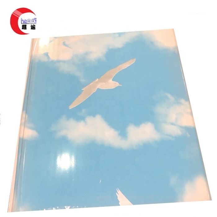 Hot Stamp Air Cloud PVC Wall and Ceiling Panel Artistic Ceilings with 5mm/7mm Thickness Heat Insulation Plastic Tile